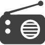 Qfx Bt-94 Gray Short Wave Radio